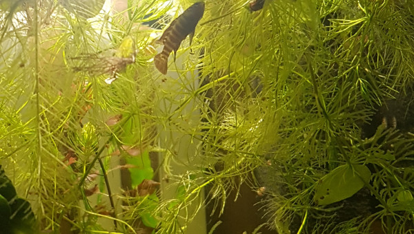 Petites photos du matin...