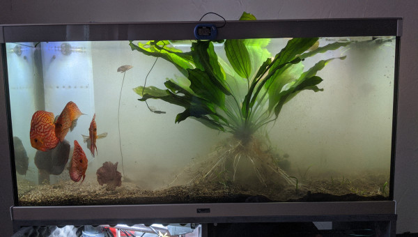 Déménagement - Jour J (2)