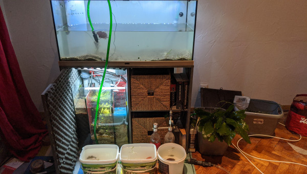 Déménagement - Jour J (2)