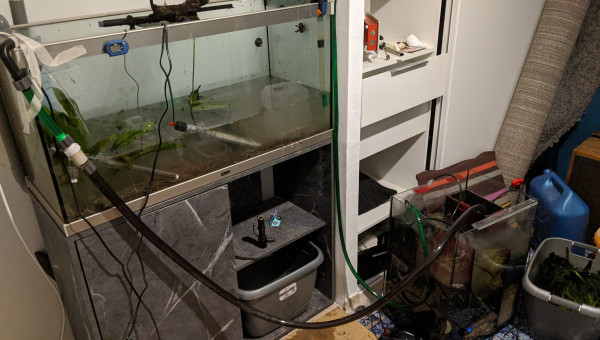 Déménagement - Jour J (2)