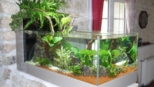 1er aquarium