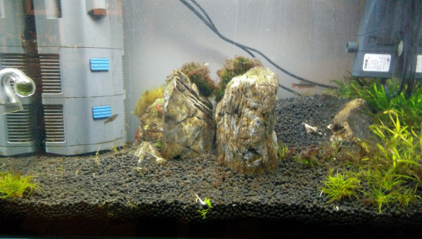 Les Trois Pucelles: Symphony of destruction, and reconstruction