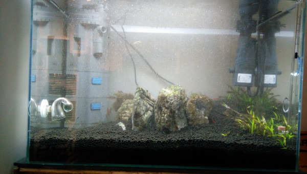 Les Trois Pucelles: Symphony of destruction, and reconstruction