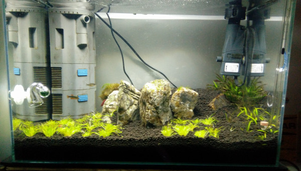 Les Trois Pucelles: Symphony of destruction, and reconstruction