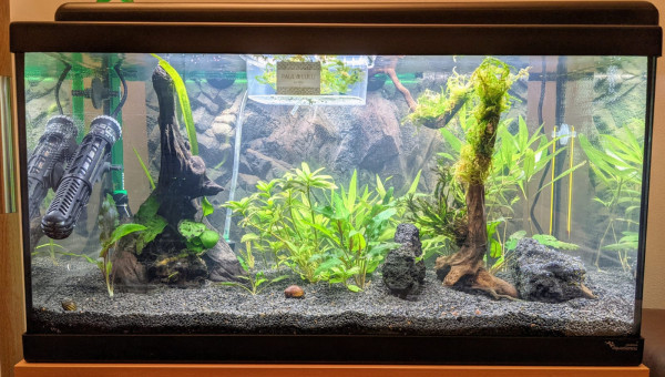 Aquatlantis BioLED 60