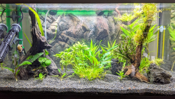 Sur la Route des Laves