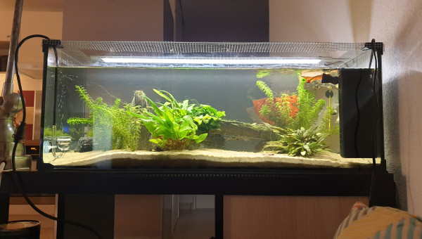 Diffusion co2 taifun p