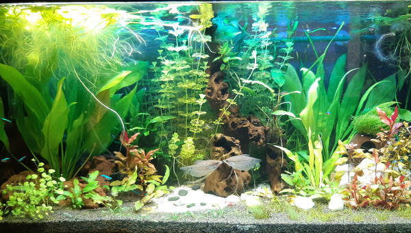 Nouvel éclairage led arrivé