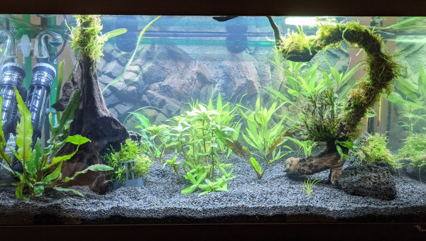 Sur la Route des Laves