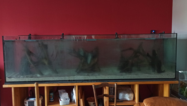 Mise en eau terminée