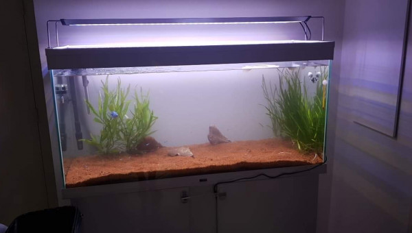 Nouvel éclairage, nouvelle disposition