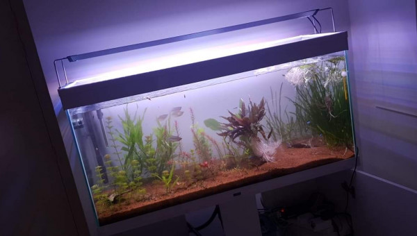 Nouvel éclairage, nouvelle disposition