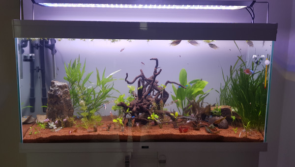 Nouvel éclairage, nouvelle disposition