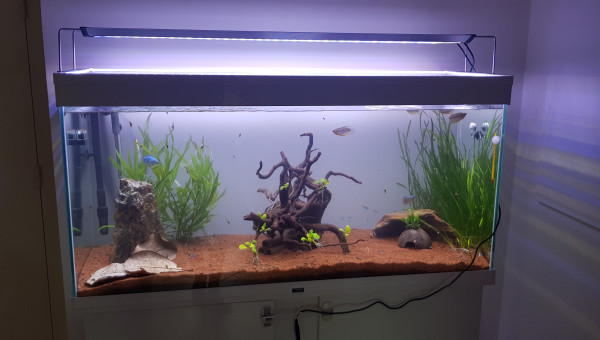 Nouvel éclairage, nouvelle disposition