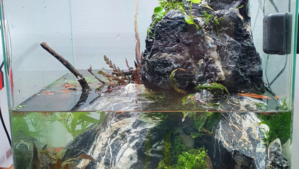Nouveaux 30l cascade