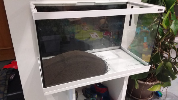 Mise en place du sol.