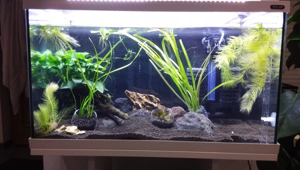 En attente de réception des mousses