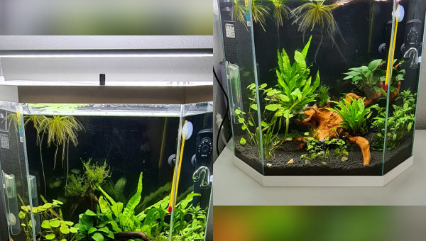 Changement de racine ?