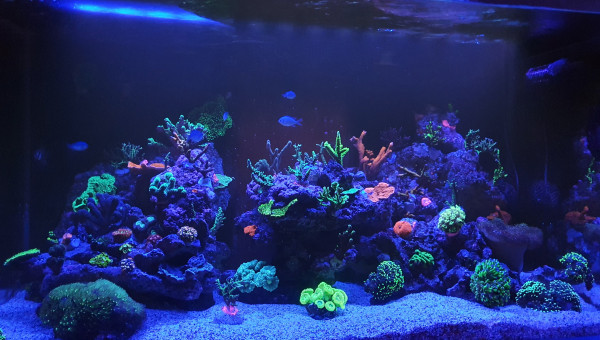 Petite évolution des couleurs