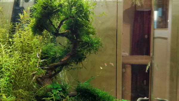 4 mois du nano (profil)