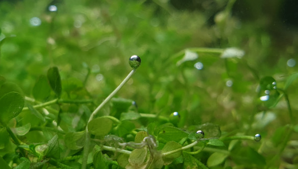 Nouveaux arrivants et changement du décor
