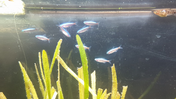 Communautaire 190L photos de mes derniers arrivés