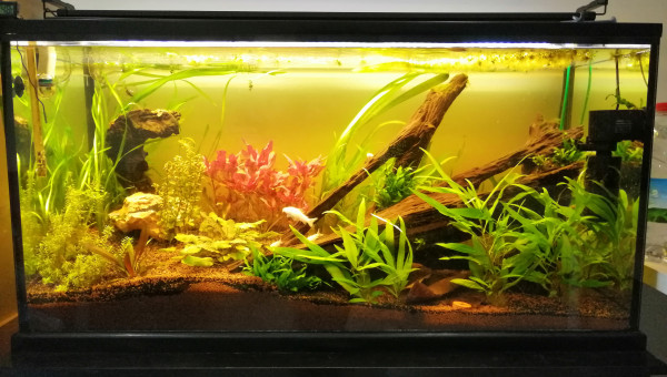 Ça pousse tranquilou