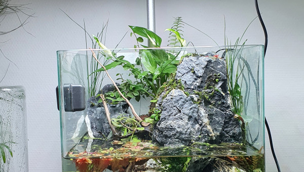 La nano cascade avance bien de son côté