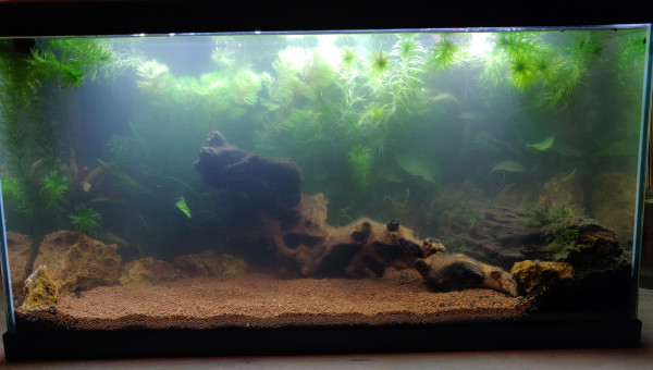 Changement du sol en premier plan