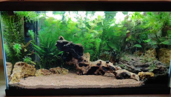 3 jours après c'est beaucoup plus propre !