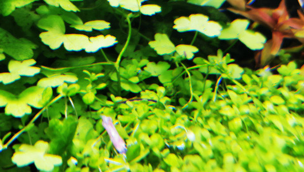 La cité de la peur...