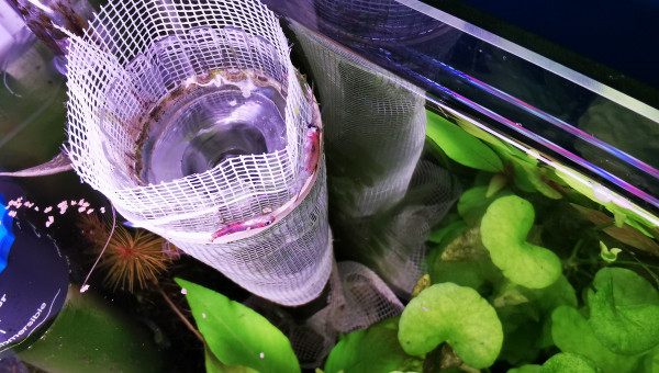 La cité de la peur...