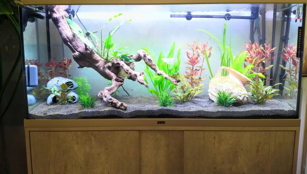 apres un peu plus d'1 mois de cyclage