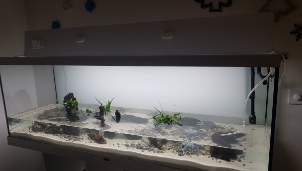 Remplissage en cours...