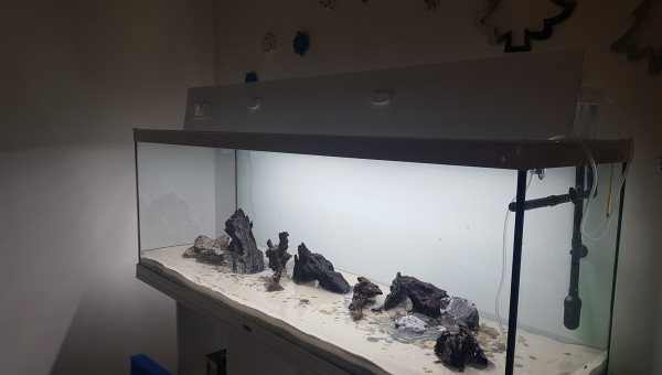 Remplissage en cours...