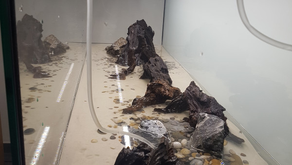 Remplissage en cours...