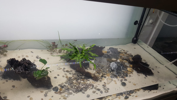 Remplissage en cours...