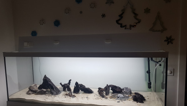 Remplissage en cours...