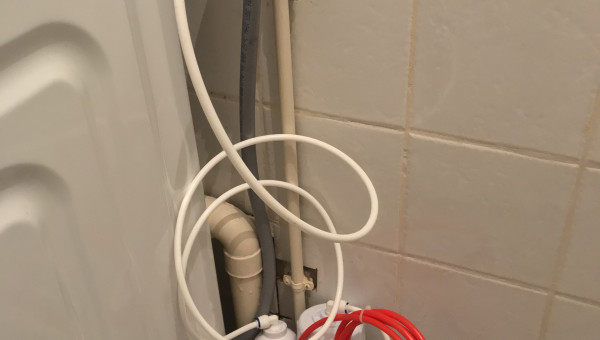 Après changement d’eau.