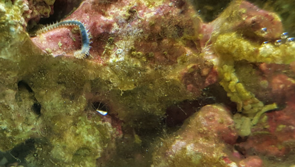 5 jours,  la vie commence à s'agiter.