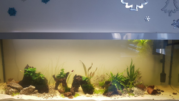 Petite évolution ^^