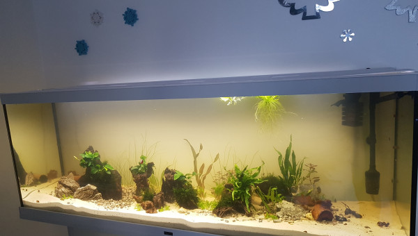 Petite évolution ^^