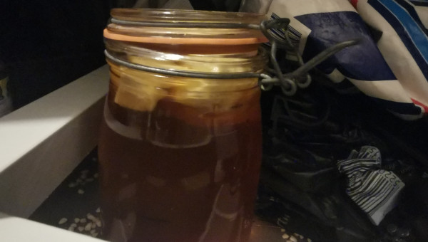 Souche d'anguillules de vinaignes