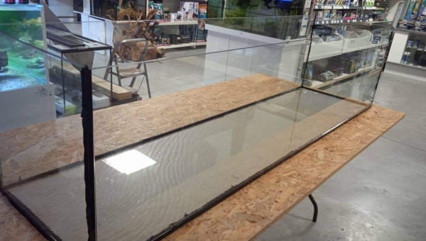 Nouveau bac ! Bonne année