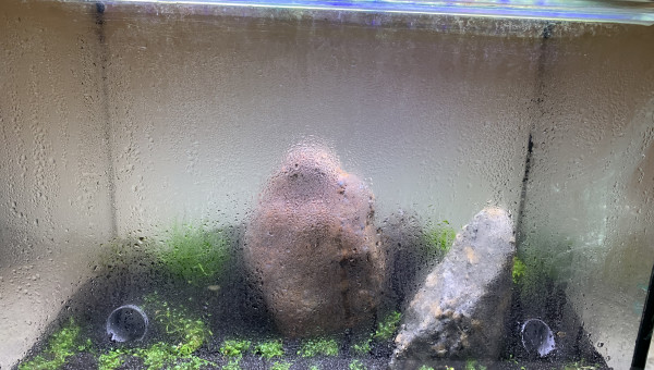 Ça condense toujours...