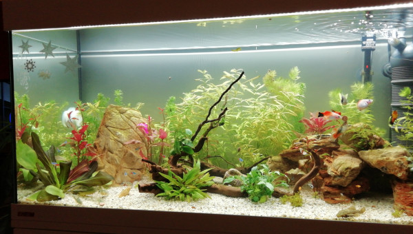 Après le jardinage !