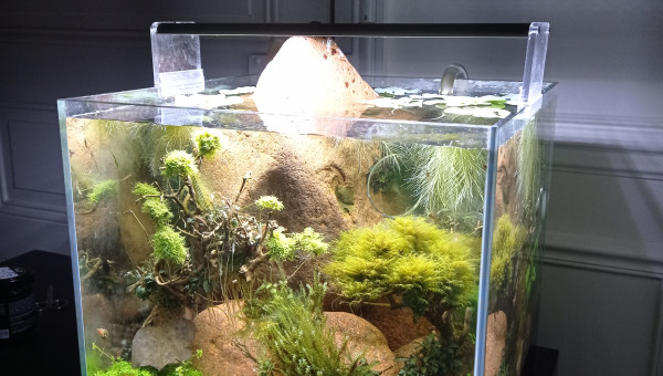 Nano Esterel, réduction tech