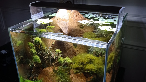 Nano Esterel, work in progress