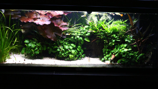 Après 2 semaines de test