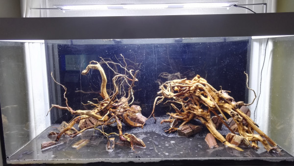 Installation du hardscape